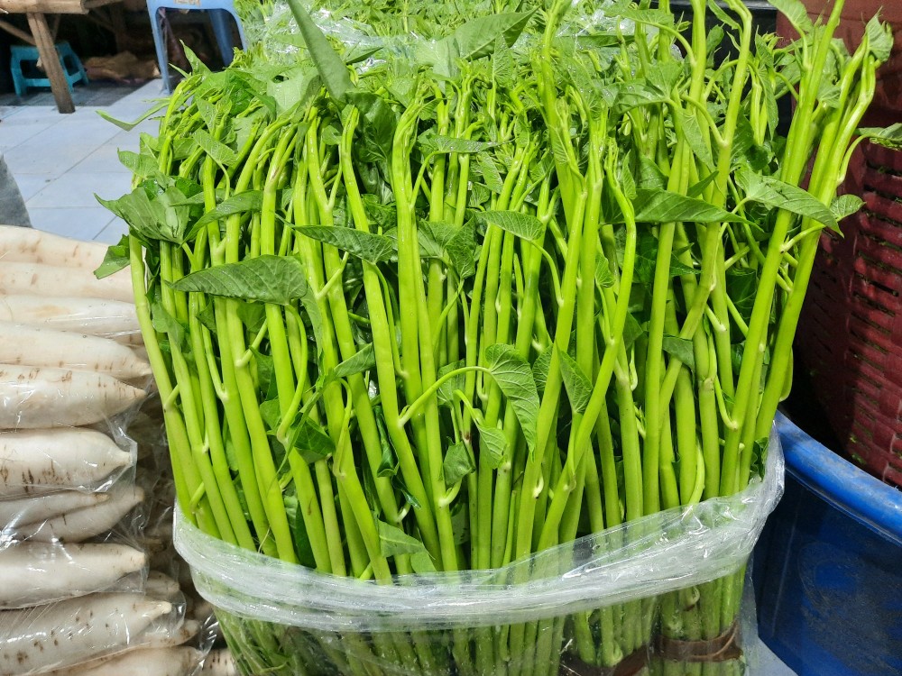 ผักบุ้งไทย (Swamp Morning Glory) บำรุงประสาทตาและศาสตร์แห่งการถอนพิษ